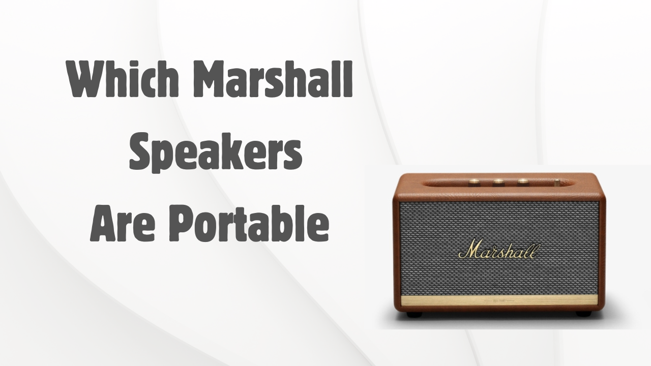 Which Marshall Speakers Are Portable